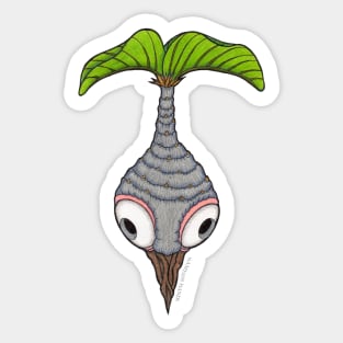 Pachypodium caudex 9 Sticker